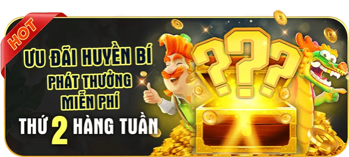 Phân tích ưu đãi mới nhất từ s689